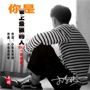 Listen to 你是世上最狠的人（DJ林祥版）- 伴奏 (伴奏) song with lyrics from 小东北