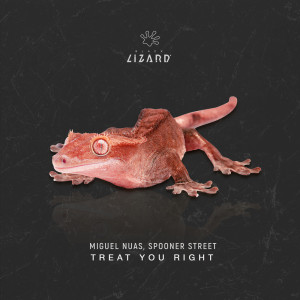 Album Treat You Right from Spooner Street