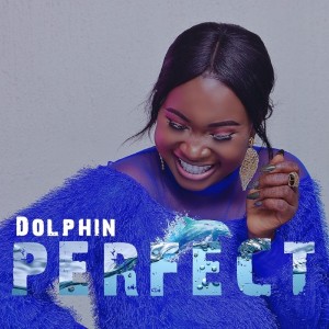 收聽Dolphin的Perfect歌詞歌曲