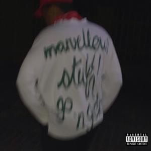 ดาวน์โหลดและฟังเพลง Anomaly (Explicit) พร้อมเนื้อเพลงจาก Aaron Parker