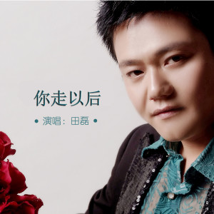 Listen to 你走以后 (伴奏) song with lyrics from 田磊