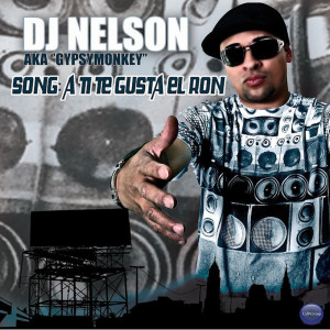 Listen to A Ti Te Gusta El Ron song with lyrics from DJ Nelson
