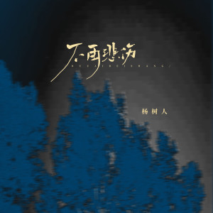 Listen to 不再悲伤 (1.2x) song with lyrics from 杨树人