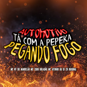 收聽MC Zudo Boladão的Automotivo Tá Com a Pepeka Pegando Fogo (feat. Mc NT do Mandelão) (Explicit)歌詞歌曲