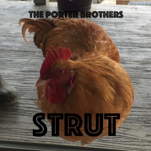 ดาวน์โหลดและฟังเพลง Strut พร้อมเนื้อเพลงจาก The Porter Brothers