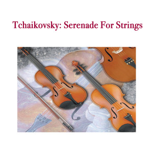 收听Bournemouth Symphony Orchestra的Serenade For Strings In C, Op. 48 - 1. Pezzo In forma Di Sonatina歌词歌曲