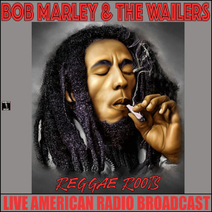 Dengarkan Positive Vibration (Live) lagu dari Bob Marley & The Wailers dengan lirik