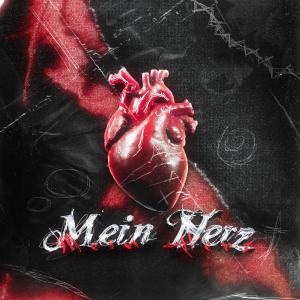 收聽Eraycessur的Mein Herz歌詞歌曲