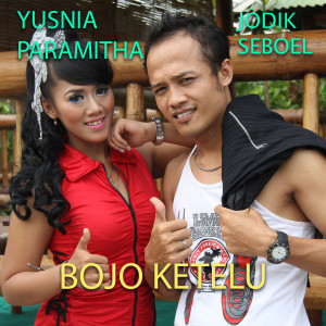 Listen to Bojo Ketelu song with lyrics from Yusnia Paramitha