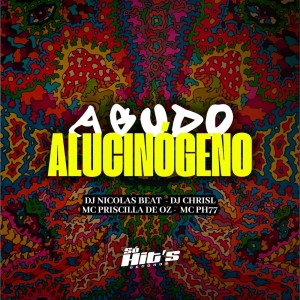 收聽DJ CHRISL的Agudo Alucinógeno (Explicit)歌詞歌曲