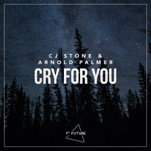 CJ Stone的专辑Cry For You
