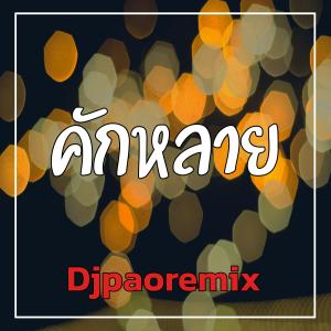อัลบัม คักหลาย ศิลปิน Djpaoremix