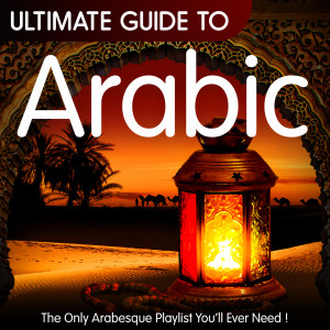 ดาวน์โหลดและฟังเพลง Arabian Nights (DJ Ahmed Special Mix) พร้อมเนื้อเพลงจาก MC Skyline