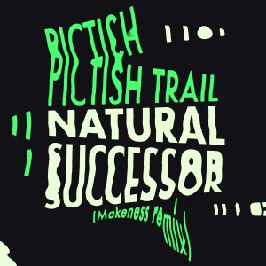 Pictish Trail的專輯Natural Successor