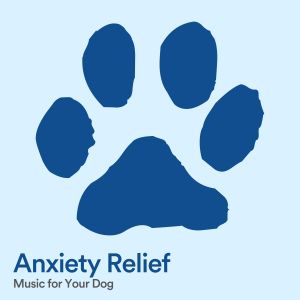 Dog Music的专辑Anxiety Relief Music for Your Dog
