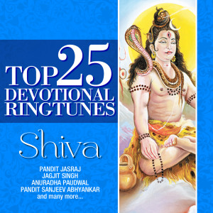 ดาวน์โหลดและฟังเพลง Shiva Tandav Stotra พร้อมเนื้อเพลงจาก Ravindra Sathe