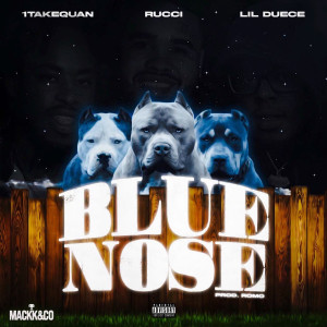 Listen to BlueNose (Explicit) song with lyrics from Rucci