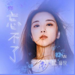 Wang Bu Le dari 魏晖倪