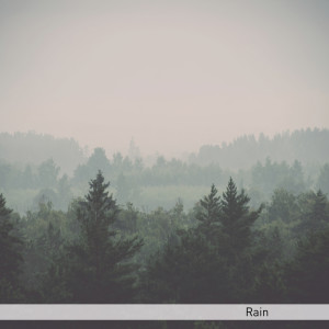 Album Rain oleh Regengeluiden