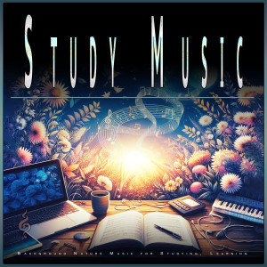 อัลบัม Study Music: Background Nature Music for Studying, Learning ศิลปิน Study Music
