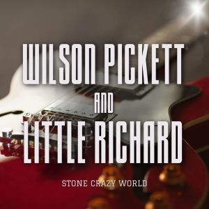 Album Stone Crazy World from Wilson Pickett