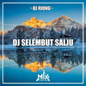 Dengarkan DJ Selembut Salju lagu dari Reong Fvnky dengan lirik