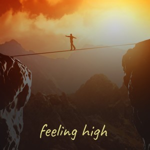 Album Feeling High from Various