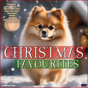 Album Christmas Favourites Compilation from Various Artists
