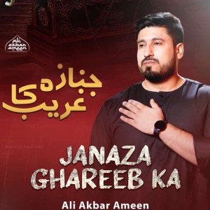 Ali Akbar Ameen的專輯Janaza Ghareeb Ka
