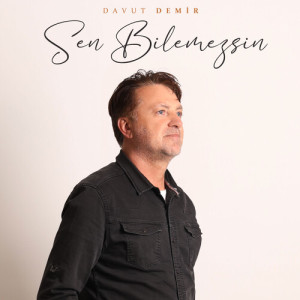 Album Sen Bilemezsin from Davut Demir