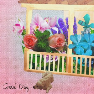 Listen to Good Dog song with lyrics from Luke Otwell