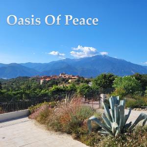 Chris Hardwick的專輯Oasis Of Peace