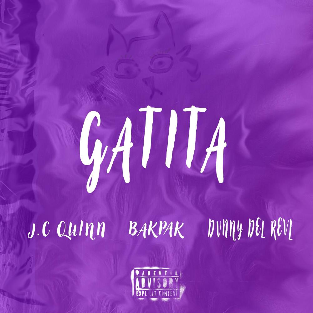 GATITA (feat. DVNNY DEL REVL) (Explicit)