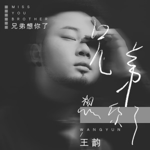 收聽王韻的兄弟想你了 (DJ沈念版)歌詞歌曲