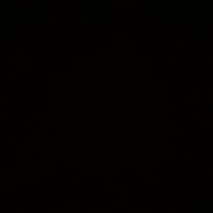 收聽SkHustle的For The Party Animals (Explicit)歌詞歌曲