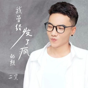 Album 我曾经发了疯的想 from 二黑