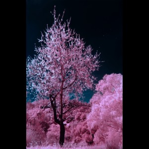 Dengarkan Sleep Music lagu dari Deep Sleep dengan lirik