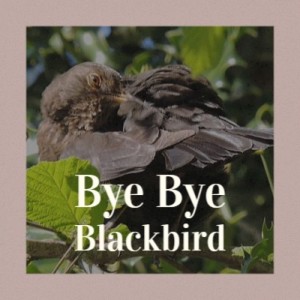 Walter Donaldson的專輯Bye Bye Blackbird