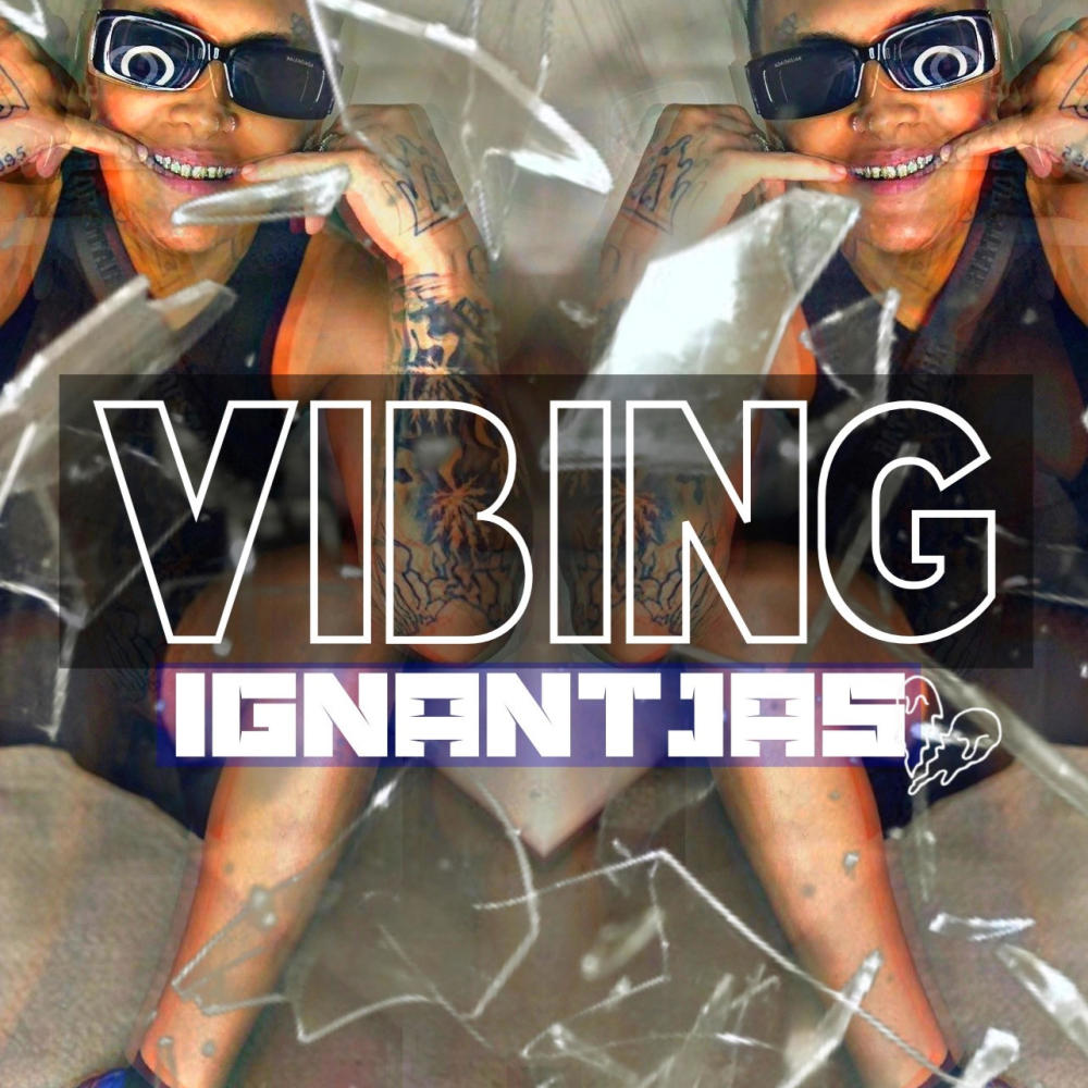 ViBiN (Explicit)