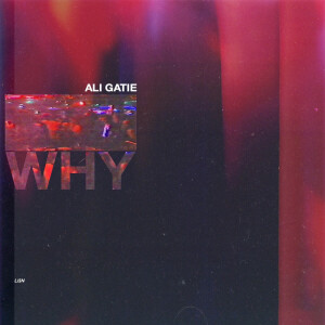 收聽Ali Gatie的Why (Explicit)歌詞歌曲