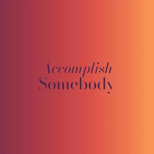 Various Artists的专辑Accomplish Somebody