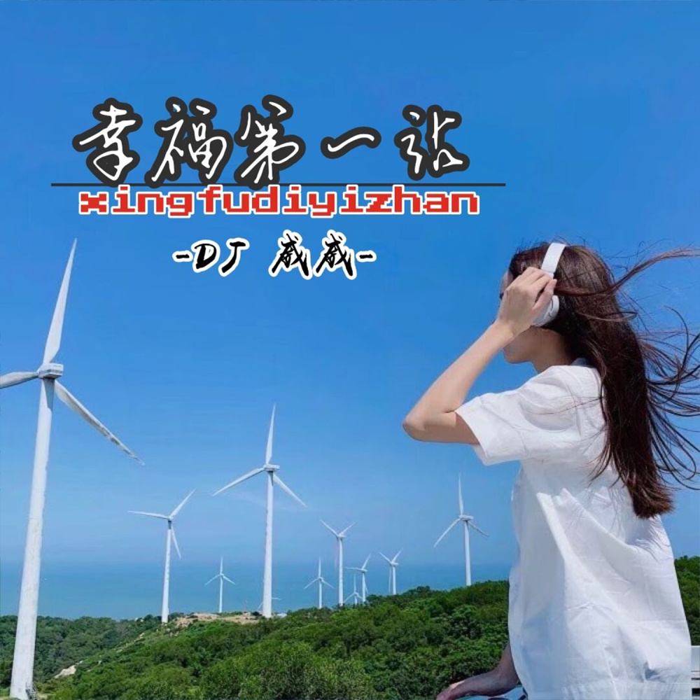 高端慢摇 (DJ版)