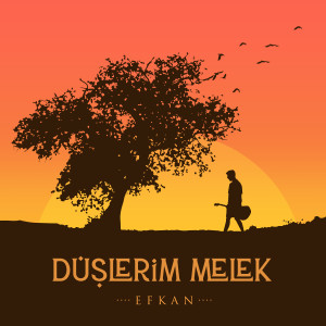 Album Düşlerim Melek from ËFKAN