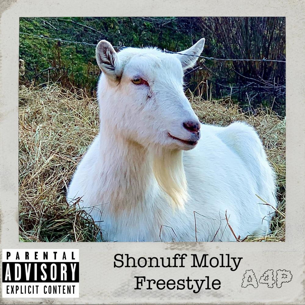Freestyle (Explicit)