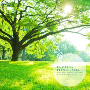 อัลบัม Time Of Meditation To Empty Our Minds (Meditation Piano) ศิลปิน Various Artists
