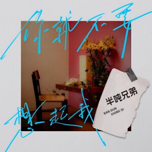 Album 你就不要想起我(DJ九零版) from 半吨兄弟