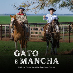 ดาวน์โหลดและฟังเพลง Gato e Mancha พร้อมเนื้อเพลงจาก Joca Martins
