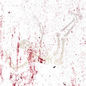 Scavengers的專輯Are We Alone Now? (Deluxe Edition)