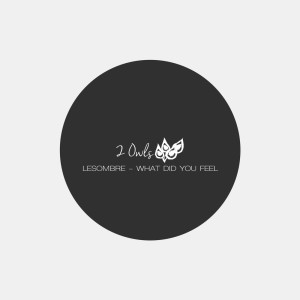 收听LEsombre的What Did You Feel歌词歌曲