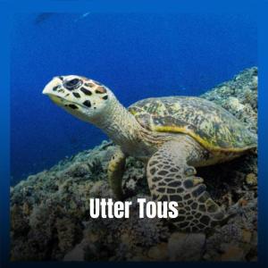 Listen to Utter Tous song with lyrics from ANNALISE